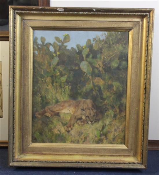 § Arthur Wardle R.I., R.B.C. (1864-1949) Mountain lion sleeping beneath cacti 18.5 x 15.5in.